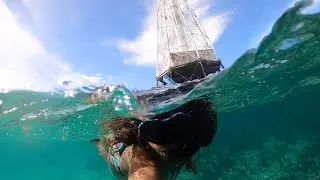 Diving the Florida Keys National Sanctuary | Alligator Reef Lighthouse