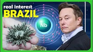 What is Elon Musk's interest in Brazil? #elonmusk #niobiun #tesla