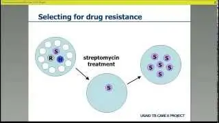 Amplification and development of drug-resistance: An overview
