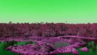Acid Time Lapse With Martin St&uuml;rtzer - Echo system