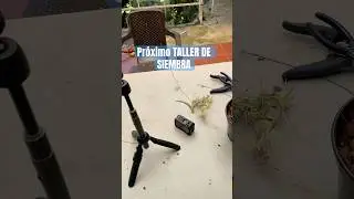 Pr&oacute;ximo taller de siembra de orqu&iacute;deas #tips #cultivo #orquideas #plantas