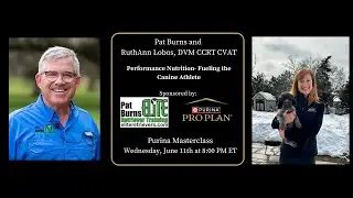 Performance Nutrition-Fueling The Canine Athlete