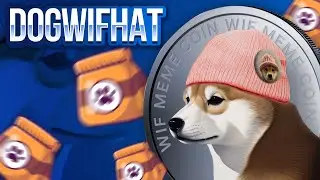 What is Dogwifhat $WIF? - Most Popular Memecoin on Solana Explained