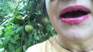 Sept 23, 2018 CHILDFREE DIANE * | Childfree Philosophy Difference