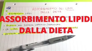 Digestione e assorbimento lipidi nella dieta - Lezioni di Biochimica