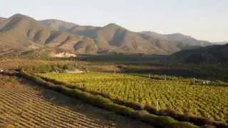 Знакомство с органической фермой Galt's Gulch Chile