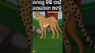 ସମସ୍ତେ କିଛି ପାଇଁ ଉପଯୋଗୀ ଅଟନ୍ତି