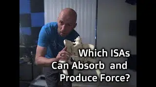 Force Absorption and Production of Infrasternal Angles