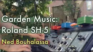 ROLAND SH-5 Garden Music | Synthesizer Demo by Ned Bouhalassa