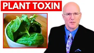 Professor Bart Kay on Plant Toxins