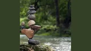 Embrace Stillness