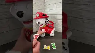 Honest Review of VTech Paw Patrol Treat Time Marshall