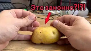 Potatoes vs. laws of physics. 1:0 in favor of mashed potatoes 😄
