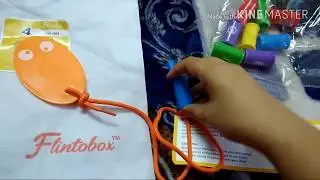 What's in a FLINTOBOX?Unboxing and detailed review