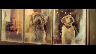 Season of Good Dog