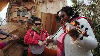 The Little Mercies - Sally Ann (Old-Time Tune)