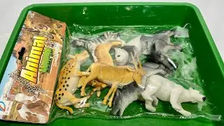 Распаковка эстетичных диких животных: зебра, панда и другие! 🦓🐘🐼 [Увлекательная коллекция игрушек]