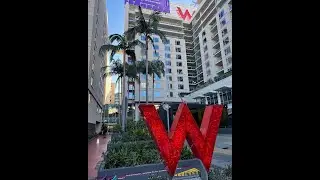 Hollywood | W hotel
