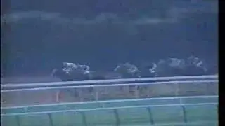 1988 Met Mile
