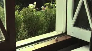 Marcel the Shell Best Friend Camp Song