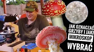Jak oznaczać Grzyby i jaki mikroskop wybrać. #grzyboludy