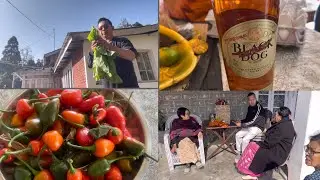 Daily Home vlogs- who send me Furious Black Dog?…..