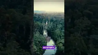 MYSTERY !! The &lsquo;Walking&rsquo; Tree of the Amazon #shorts #mystery #amazon #mythorfact #education