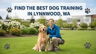 Find the Best Dog Training in Lynnwood Washington