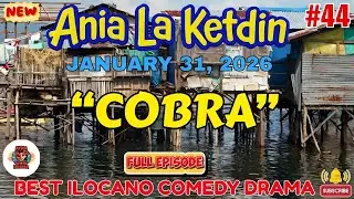 Ania La Ketdin COMEDY DRAMA #44 | COBRA | BEST ILOCANO DRAMA 2025 - January 31.2026 #aynawowdrama