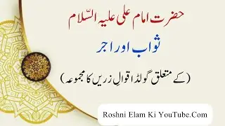 Hazrat Imam Ali A.S Ke Sawab Aur Ajr Par Anmol Aqwal | Golden Islamic Quotes