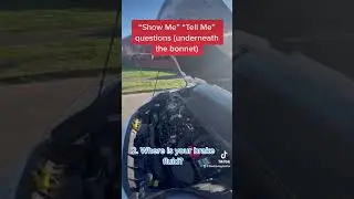 Боннет - покажи мне / расскажи мне / вопросы