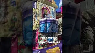 Princess 3D jumper #partyjumpers #bouncehouserental #obstaclecourse #partyrentals #bouncerrentals