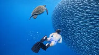This Snorkelling Blew My Mind!