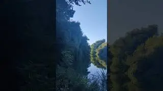 #Amazing  🌳 Green #Nature Beauty 4k Shorts Video - 🐙 Kytaiv 🐠 (Китаїв) #Lakes in Kyiv, Ukraine