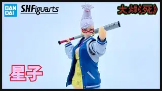 人老骨頭硬？！Bandai S.H.Figuarts星子 (膽大黨 綾瀨星子）