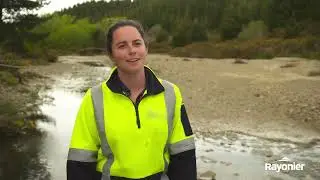 Sustainable Forestry: Being Guardians of the Land in New Zealand