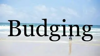 How To Pronounce Budging🌈🌈🌈🌈🌈🌈Pronunciation Of Budging