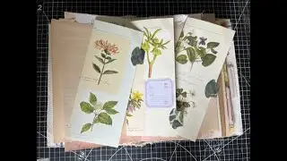 Craft With Arthur - Making Easy Floral Book Page Ephemera