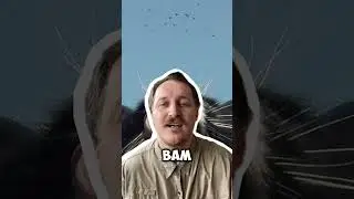 Проверка материала #98 #1million #юмор #рекомендации #подпишись #смех #shortvideo #приколы #best