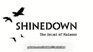 Shinedown - Sound of Madness (Bass Only)
