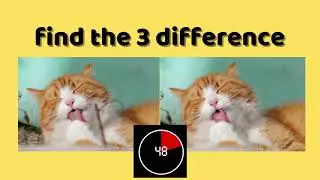 find the 3 difference -Puzzles for kids- for Cat Lovers