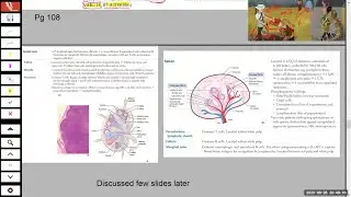 Lecture 02 (Part B) of First Aid in Ninety Days FIND by ClassroombyDA
