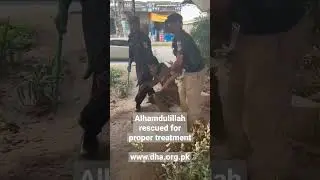 Drugs Free Peshawar Project 2 #rescue #reels #shorts #saynotodrugs #hospital #trending