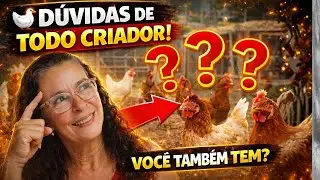 As 5 principais DÚVIDAS de TODO criador de galinhas - Se você cria galinhas, ESSAS dúvidas são suas