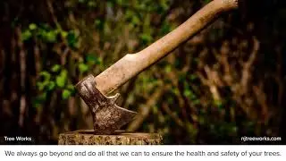 Tree Works Egg Harbor Township New Jersey 08234