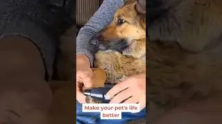 LOPSIC Dog Nail Grinder: The Ultimate Grooming Tool for Your Pet's Nail Care Needs