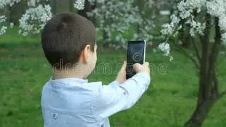 314364706 A boy takes pictures and films a cherry blossom tree on his smartphone.