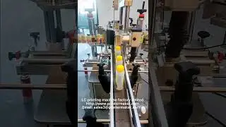 Oval bottle double sides automatic labeling machine ALM-71200
