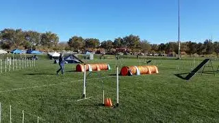 Johnny  Reg. Rd. 2,  SmartyPaws,  Boulder City,  11/8/24