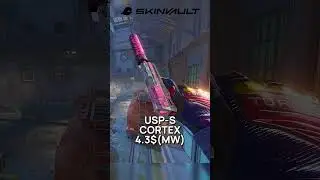 Cheap skins that look expensive 🤑 #cs2 #cs2skins #budget #skins #skinvault